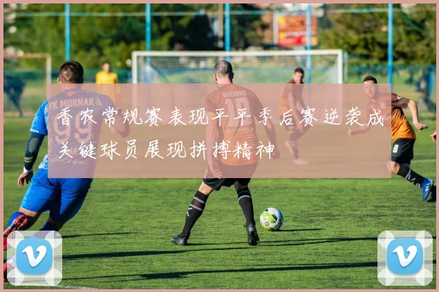 香农常规赛表现平平季后赛逆袭成关键球员展现拼搏精神